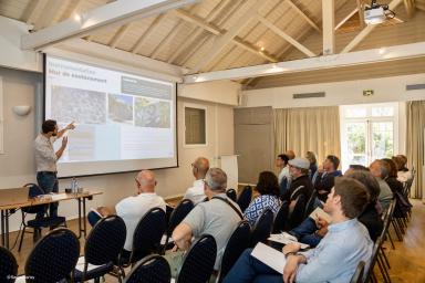 lex la réunion présentation renoboost