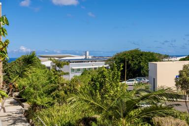 lex la réunion présentation ESIROI PIMENT