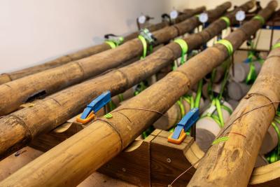 lex la réunion présentation ESIROI PIMENT - Agrandir l'image 3 sur 9, fenêtre modale