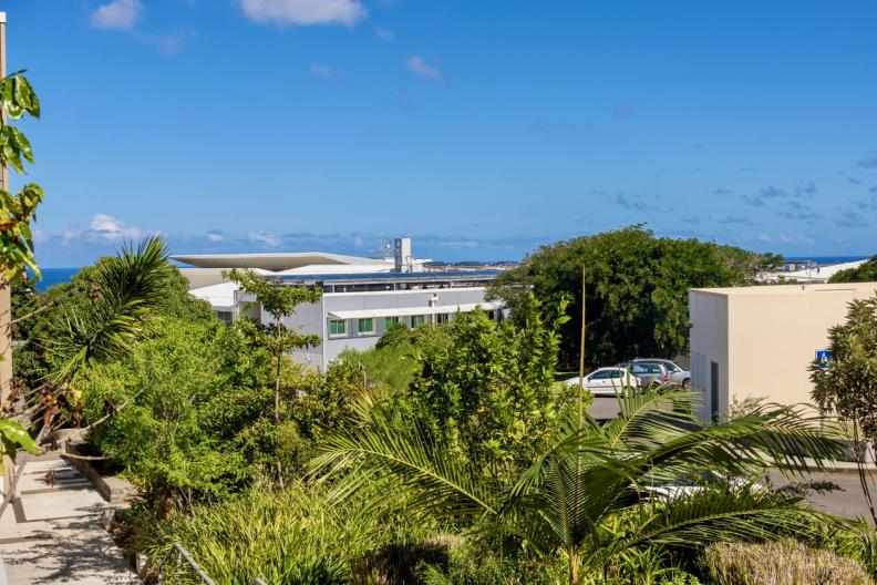 lex la réunion présentation ESIROI PIMENT - Agrandir l'image, fenêtre modale